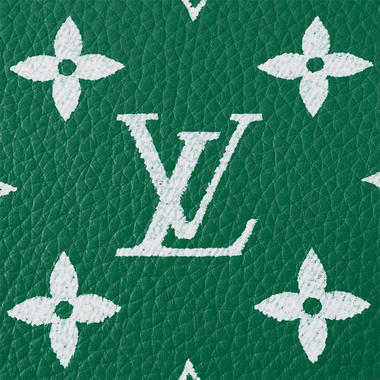 LOUIS VUITTON Speedy 25