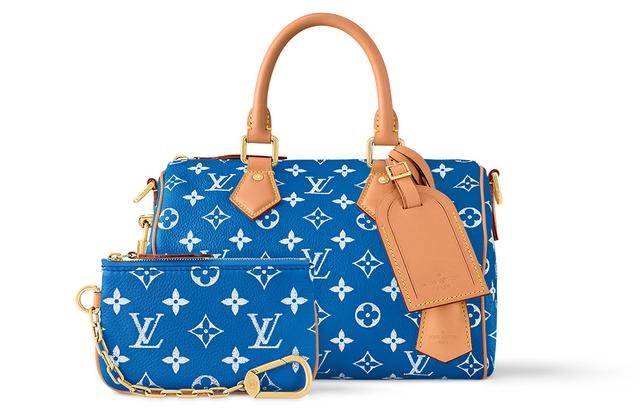 LOUIS VUITTON Speedy 25