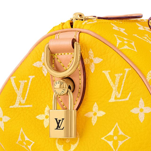 LOUIS VUITTON Speedy 25