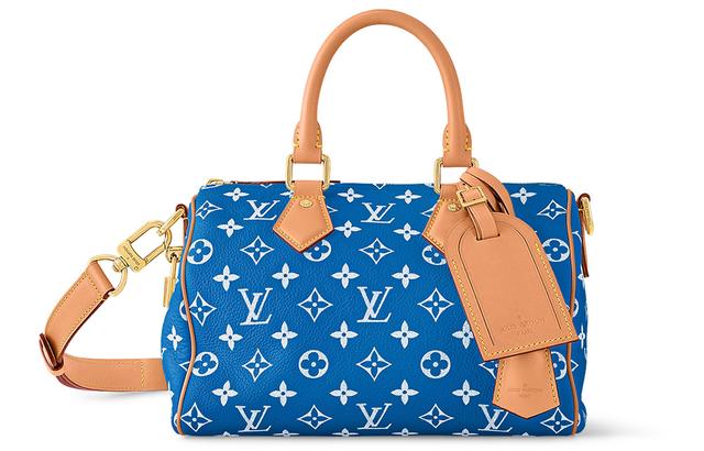 LOUIS VUITTON Speedy 25