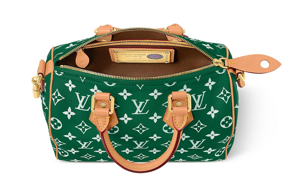 LOUIS VUITTON Speedy 25