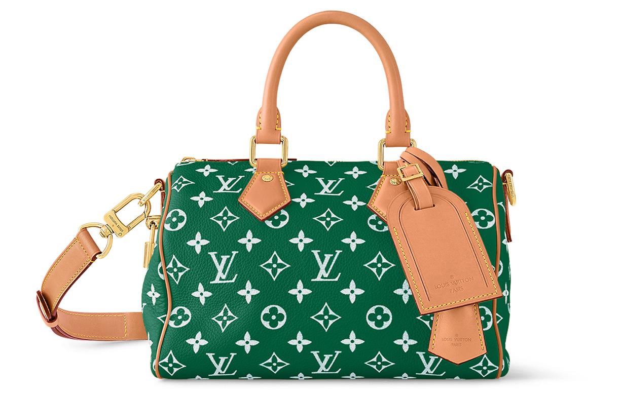 LOUIS VUITTON Speedy 25