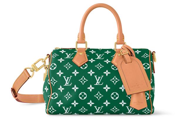 LOUIS VUITTON Speedy 25