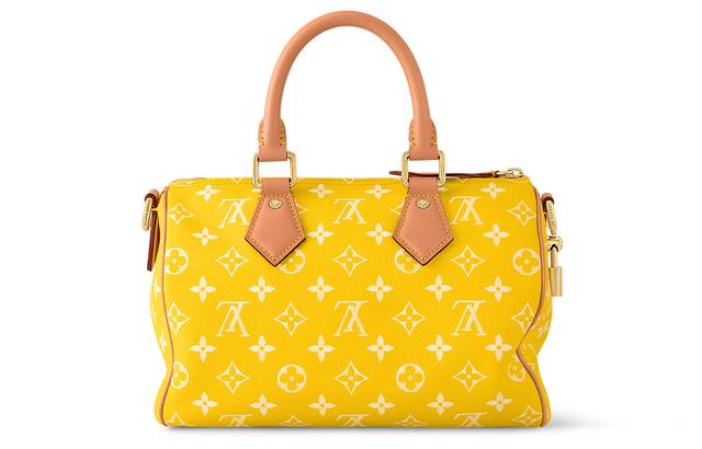 LOUIS VUITTON Speedy 25