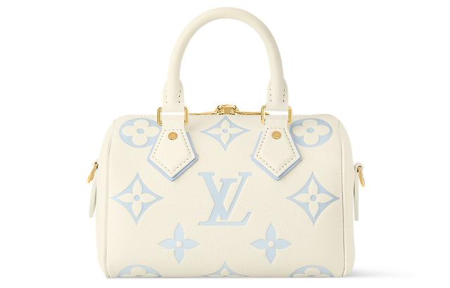 LOUIS VUITTON Speedy 20