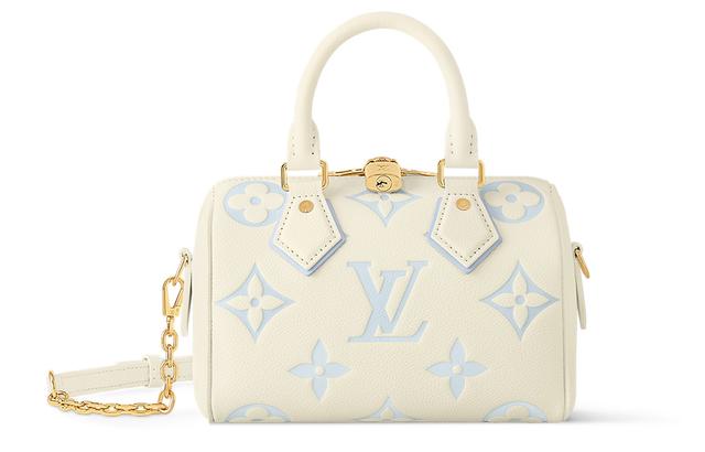 LOUIS VUITTON Speedy 20