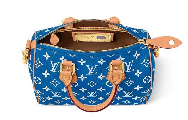 LOUIS VUITTON Speedy 25