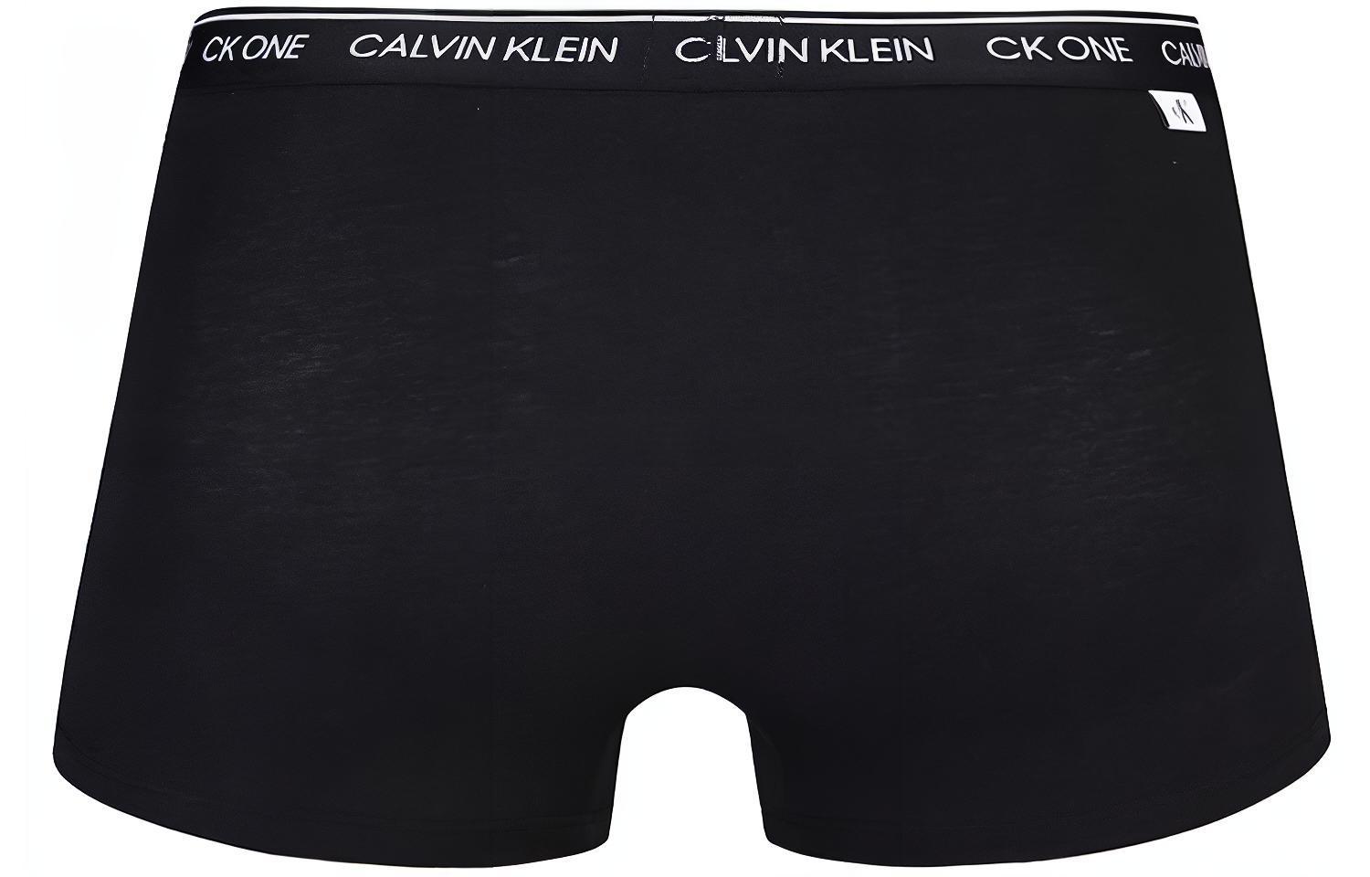 CKCalvin Klein Logo 1