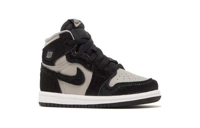 Jordan Air Jordan 1 Retro High OG Twist 2.0