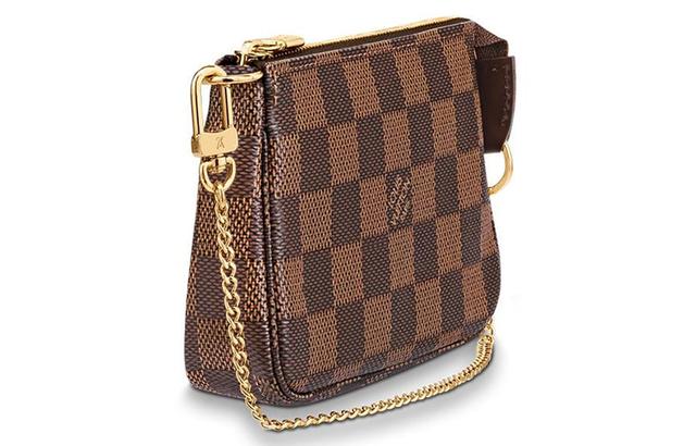 LOUIS VUITTON Pochette Accessories