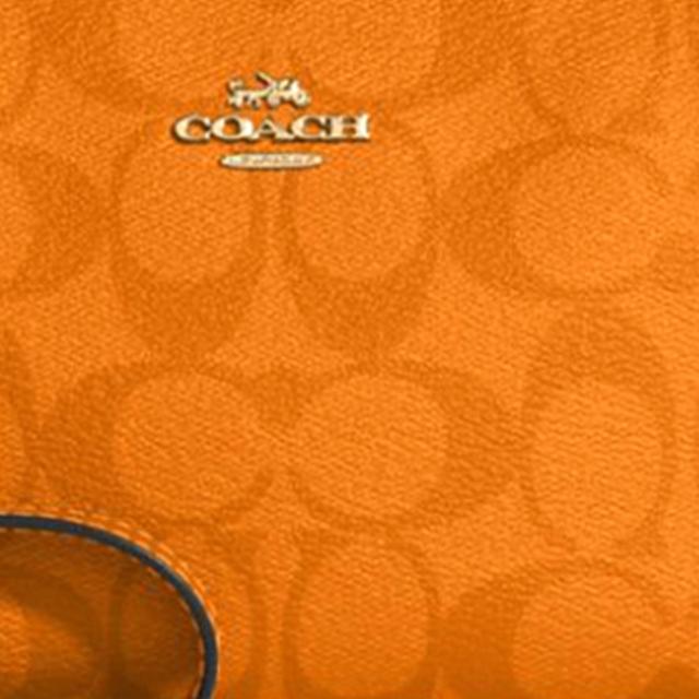 COACH Nolita 19 PVC