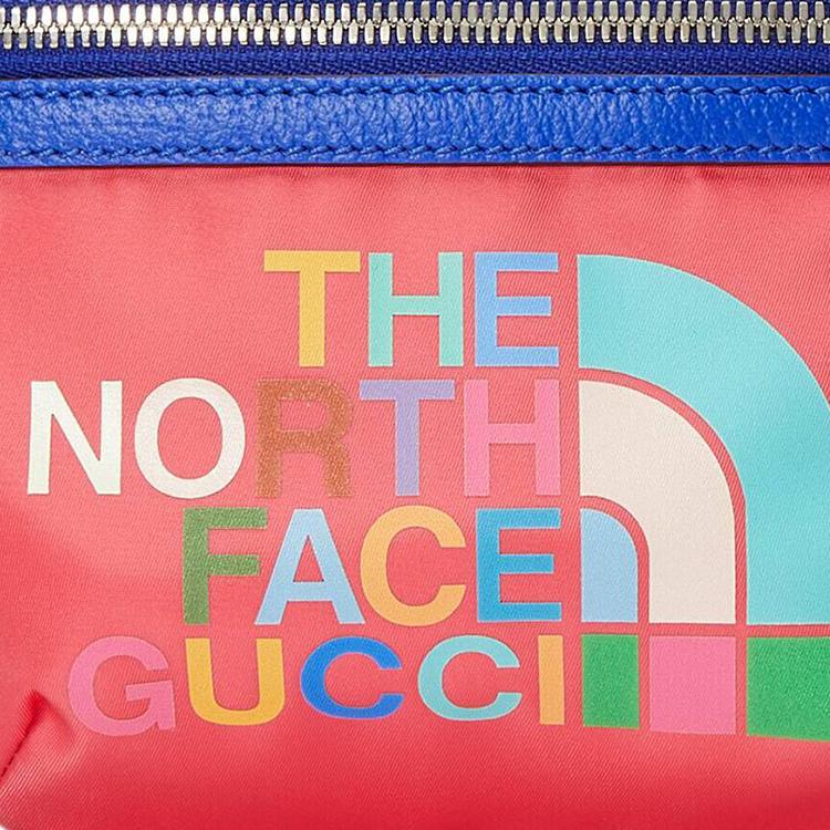 GUCCI x THE NORTH FACE Logo 23