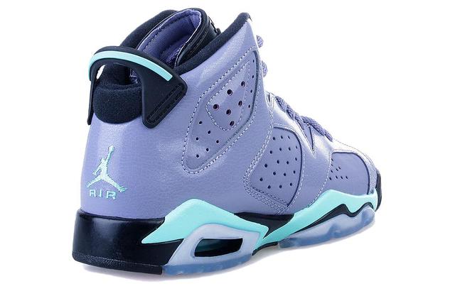 Jordan Air Jordan 6 Retro Iron Purple