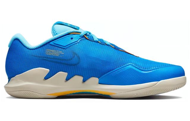 Nike Air Zoom Vapor pro Court