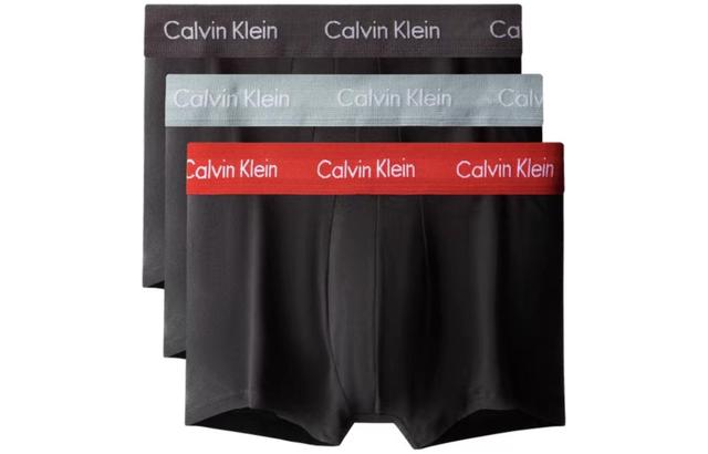 CKCalvin Klein Logo 13