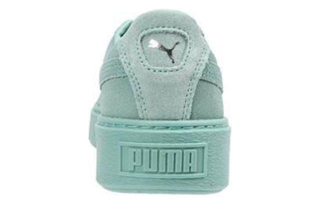 PUMA Platform Reset