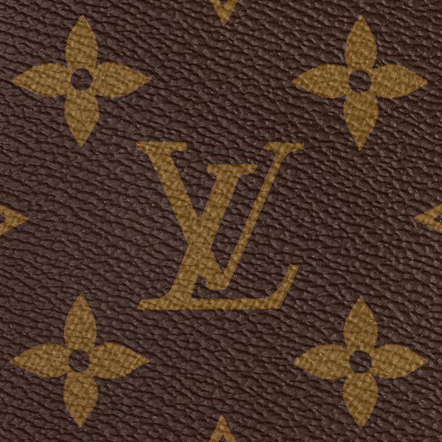 LOUIS VUITTON Palm Springs MM