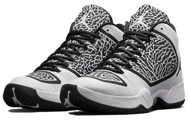 Jordan Air Jordan 29 Black White