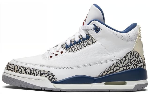 Jordan Air Jordan 3 Retro True Blue 2009