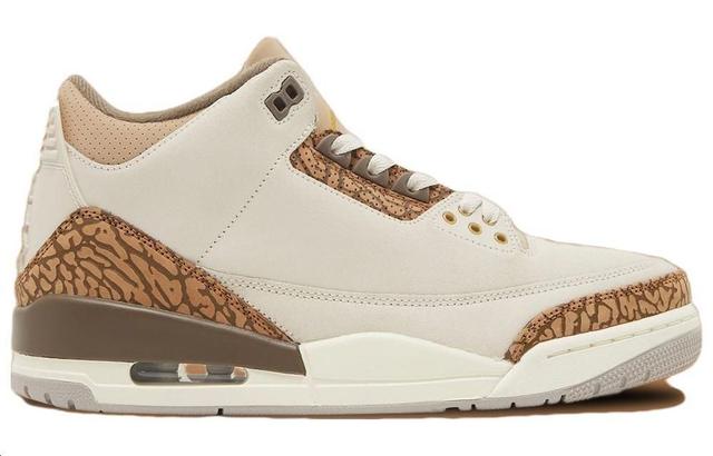 Jordan Air Jordan 3 "Orewood Brown"