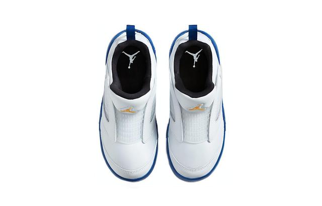 Jordan Air Jordan 5 Retro Little Flex