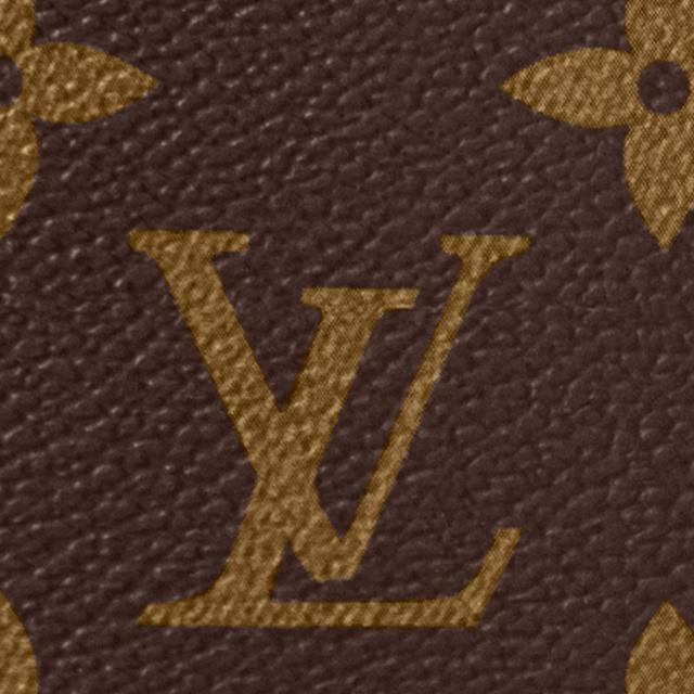 LOUIS VUITTON COIN