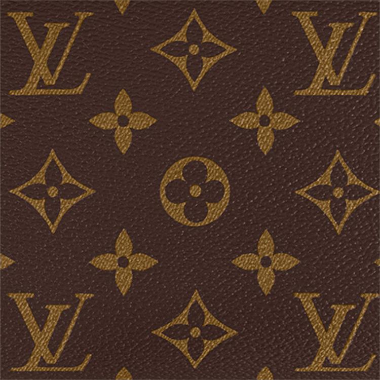 LOUIS VUITTON Steamer