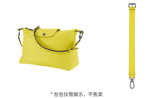 longchamp hobo