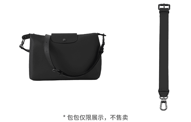 longchamp hobo