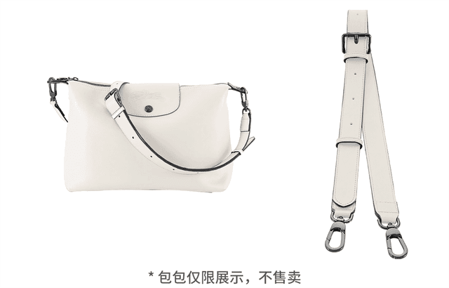 longchamp hobo