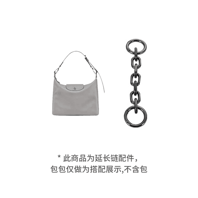 longchamp hobo