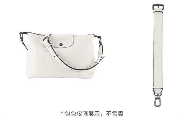 longchamp hobo