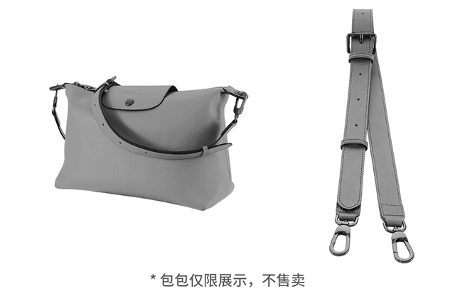 longchamp hobo