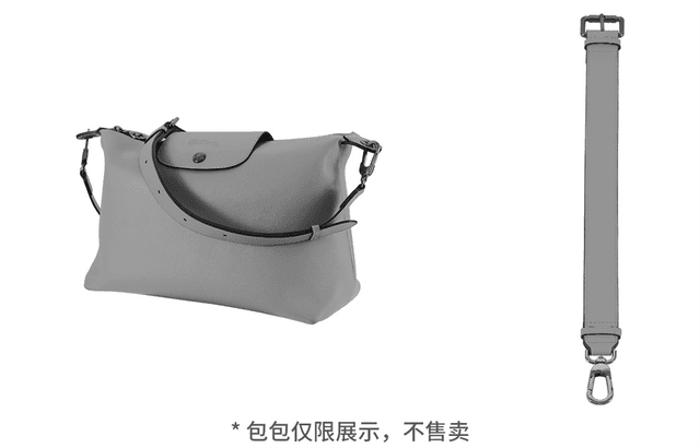 longchamp hobo