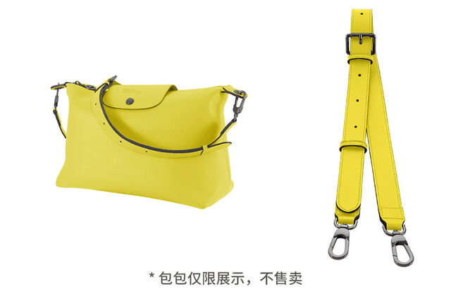 longchamp hobo