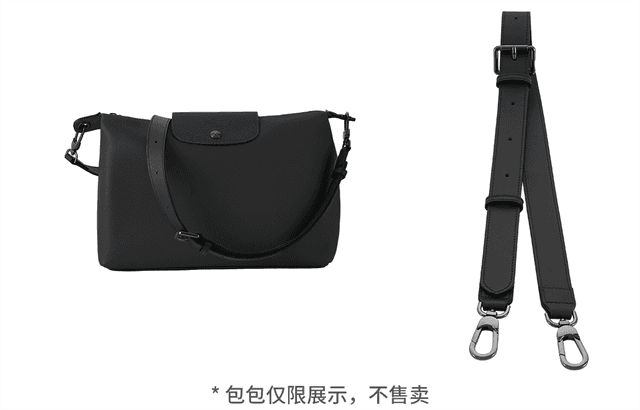 longchamp hobo