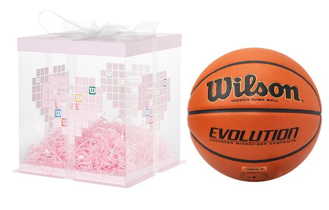 Wilson 7 PU Evolution Basketball