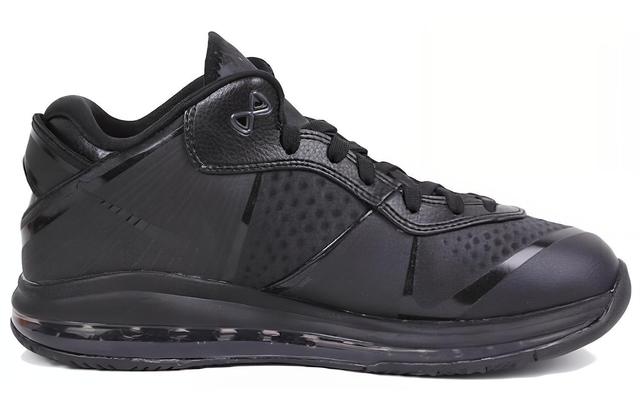 Nike Lebron 8 Low Triple Black