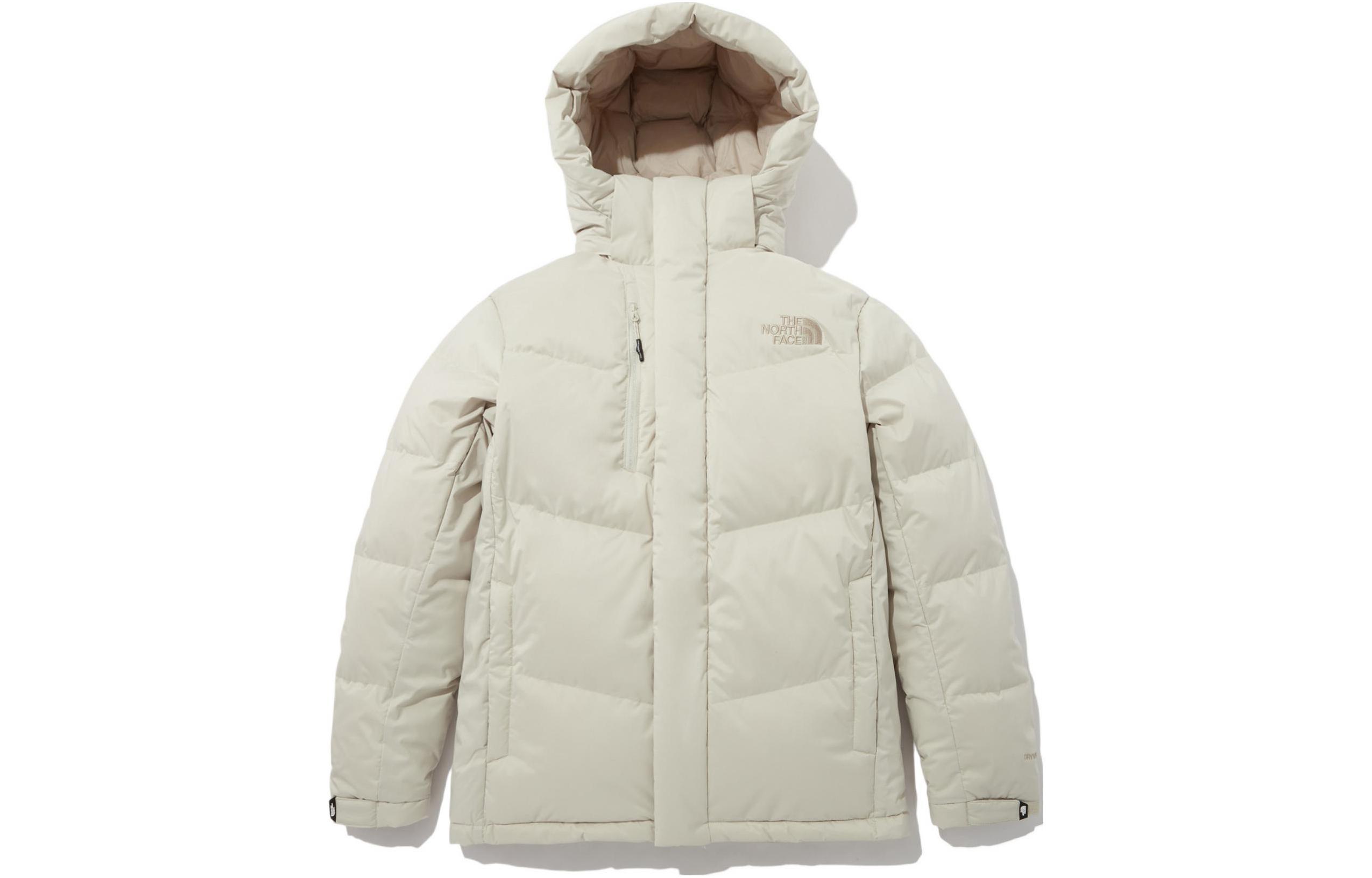 THE NORTH FACE FW22 DryventLogo