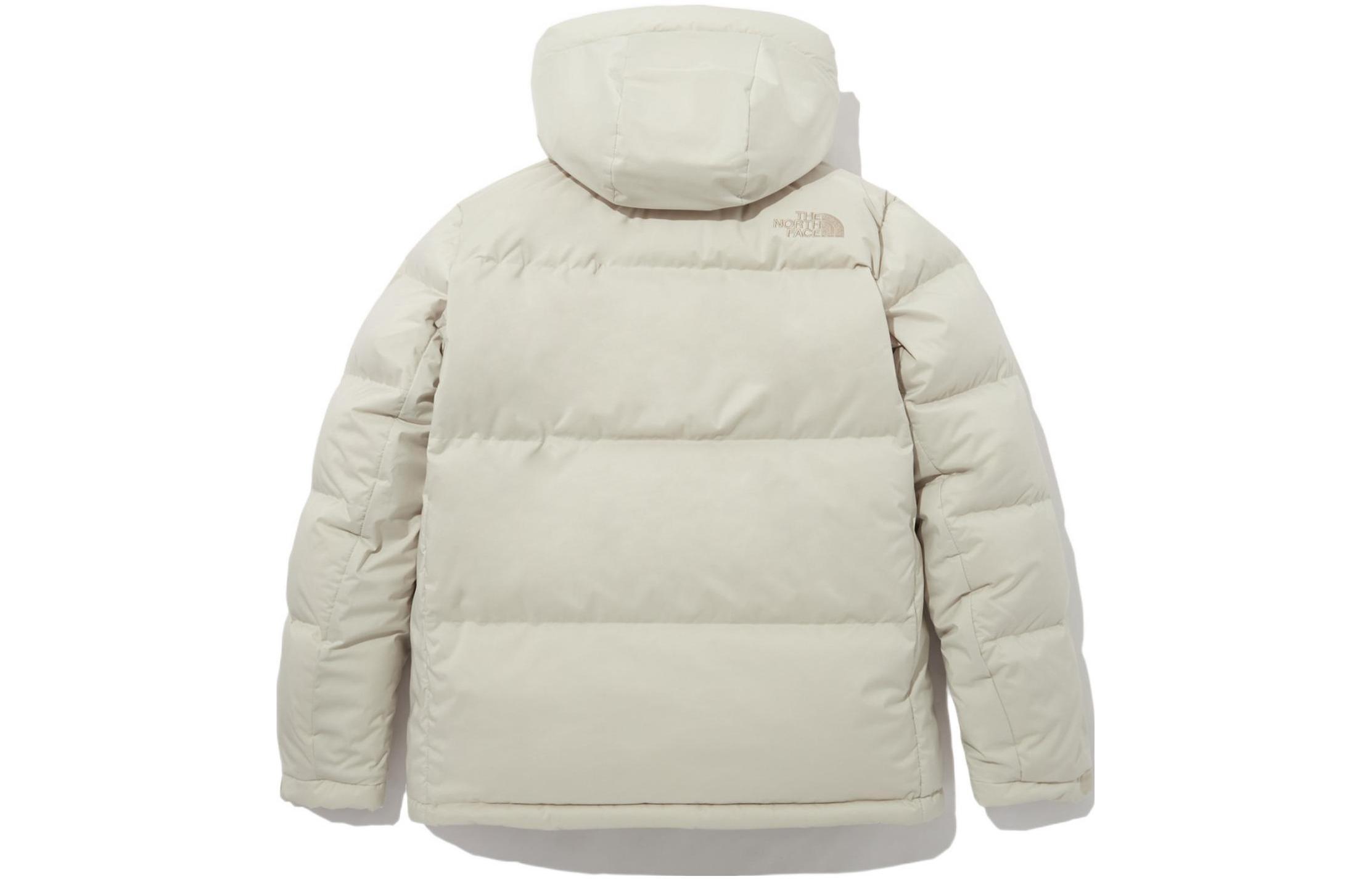 THE NORTH FACE FW22 DryventLogo