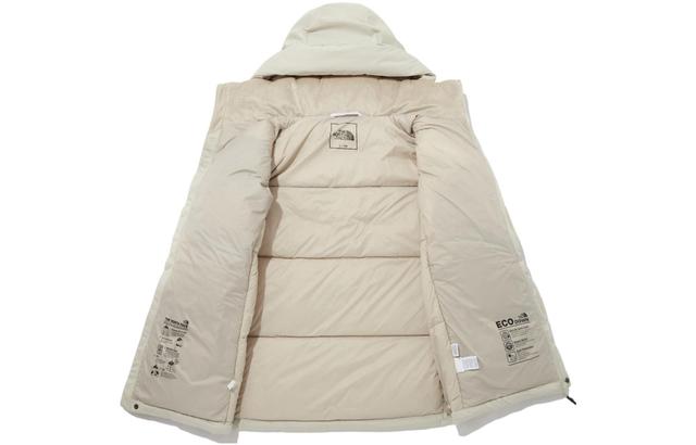 THE NORTH FACE FW22 DryventLogo