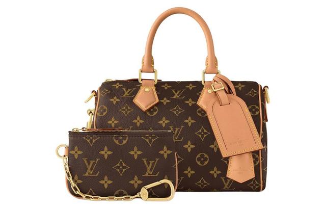 LOUIS VUITTON Speedy 25