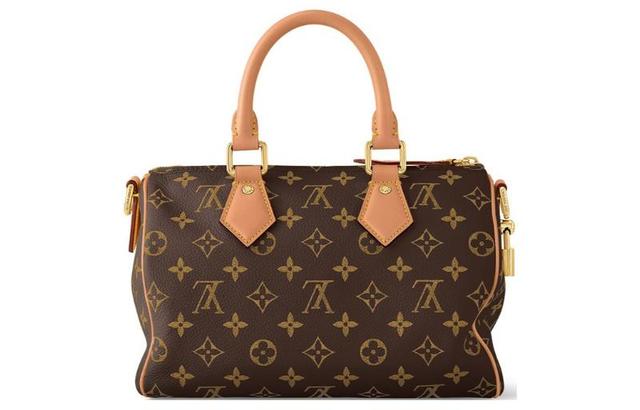 LOUIS VUITTON Speedy 25