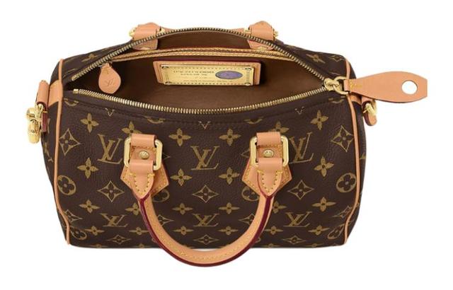 LOUIS VUITTON Speedy 25