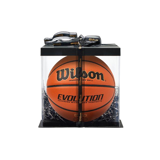 Wilson 7 PU Evolution Basketball