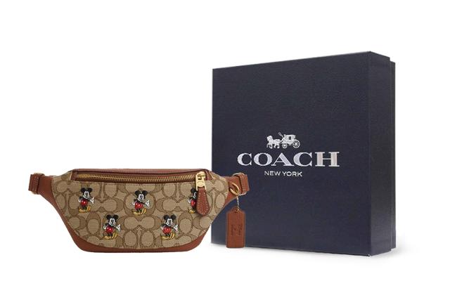 COACH X Disney Gharter 34