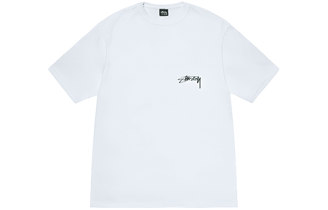 Stussy SS24 Drop2 T