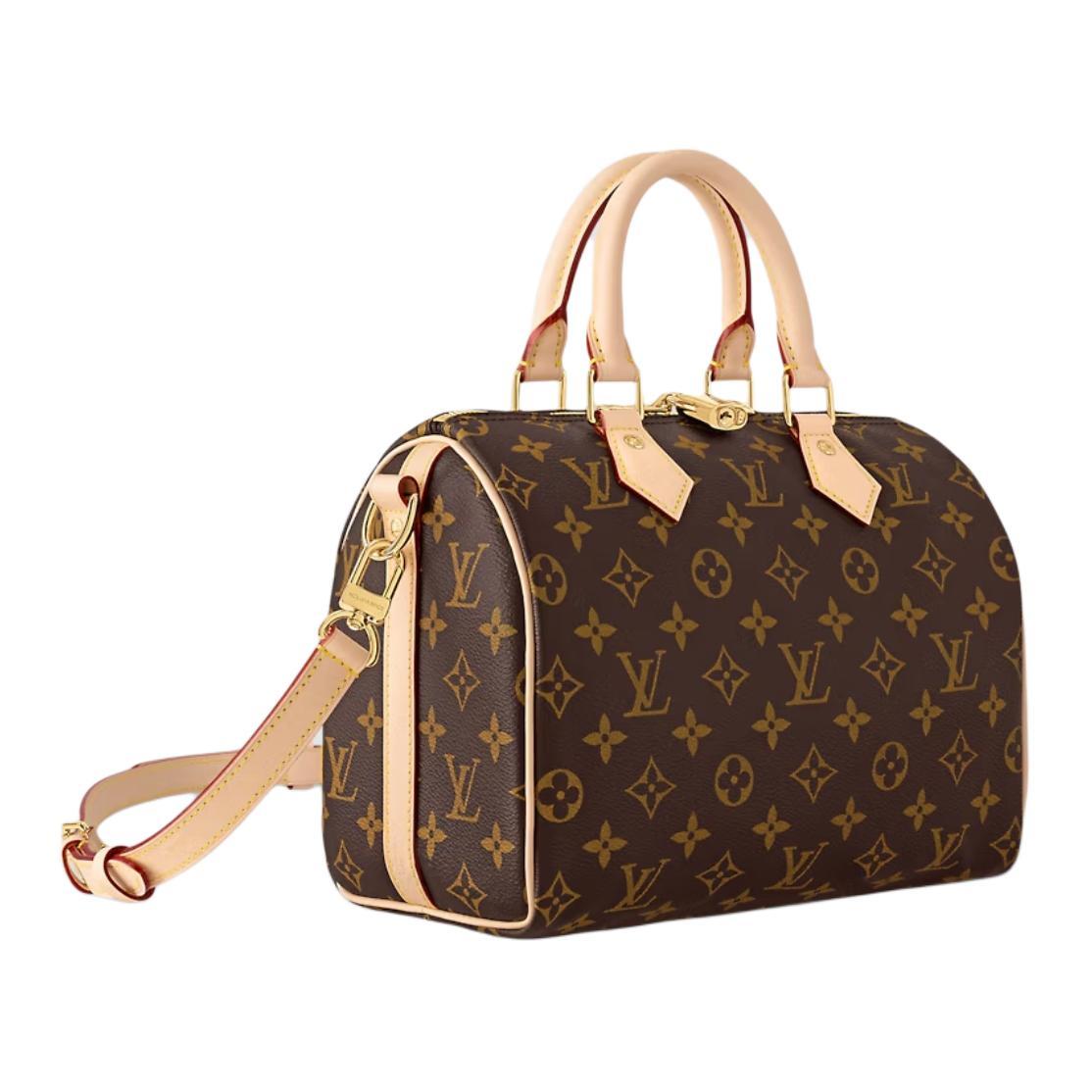 LOUIS VUITTON Speedy 25