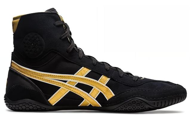 Asics Dan Gable Evo 3