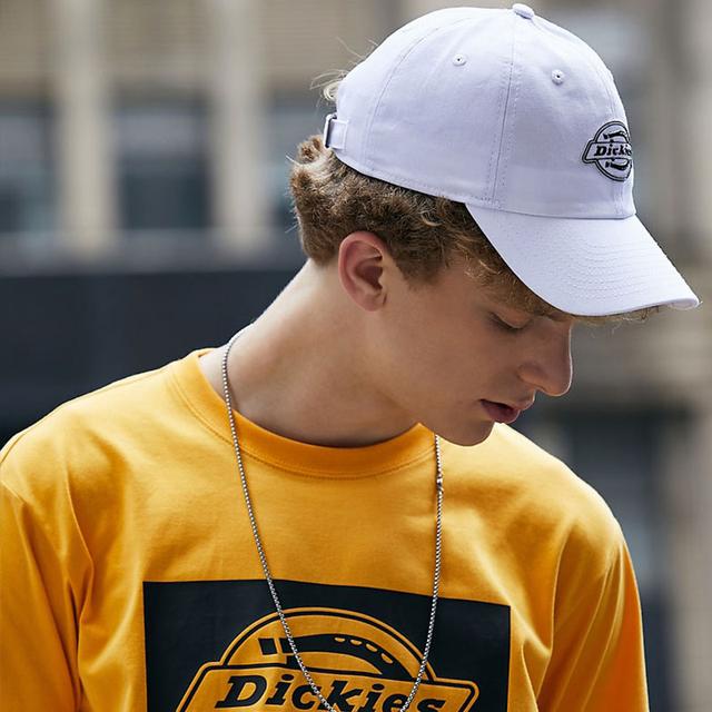 Dickies Logo